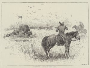 Gevecht met een Buffel in Zuid-Afrika door Henry Charles Seppings Wright